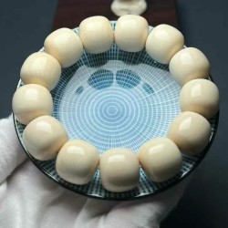 Ivory 61 Ivory 61